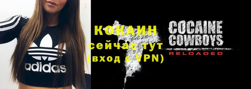 Cocaine Fish Scale Муром