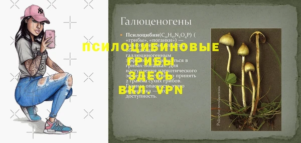 ПСИЛОЦИБИНОВЫЕ ГРИБЫ Навашино