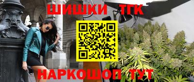 стаф Берёзовский