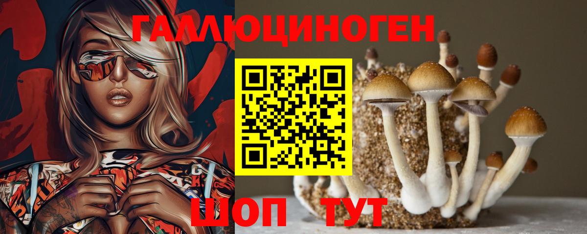 Псилоцибиновые грибы Psilocybe Муром
