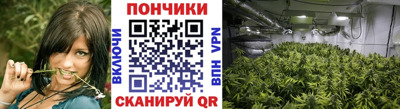 купить наркоту  Муром  Бошки Шишки SATIVA & INDICA 